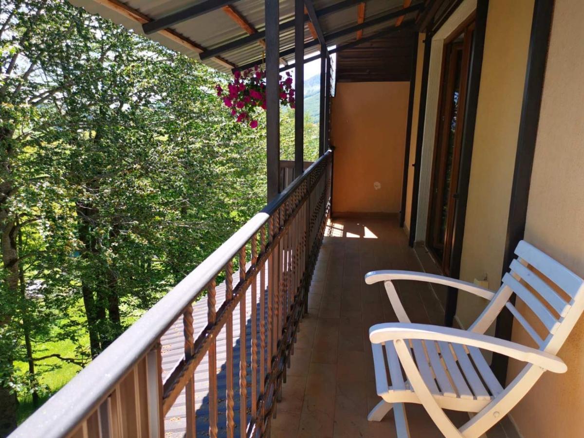 Gorska Vila Apartments Žabljak Eksteriør billede