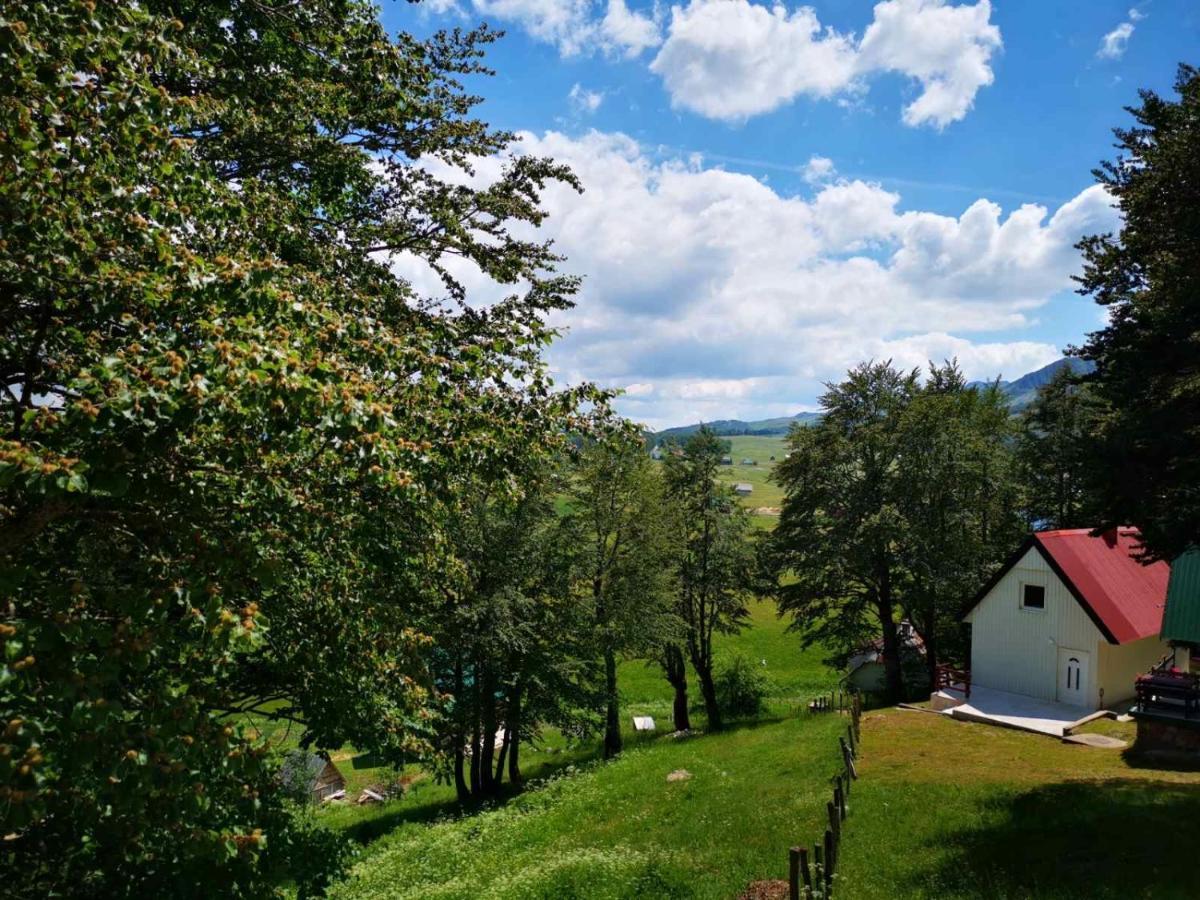 Gorska Vila Apartments Žabljak Eksteriør billede