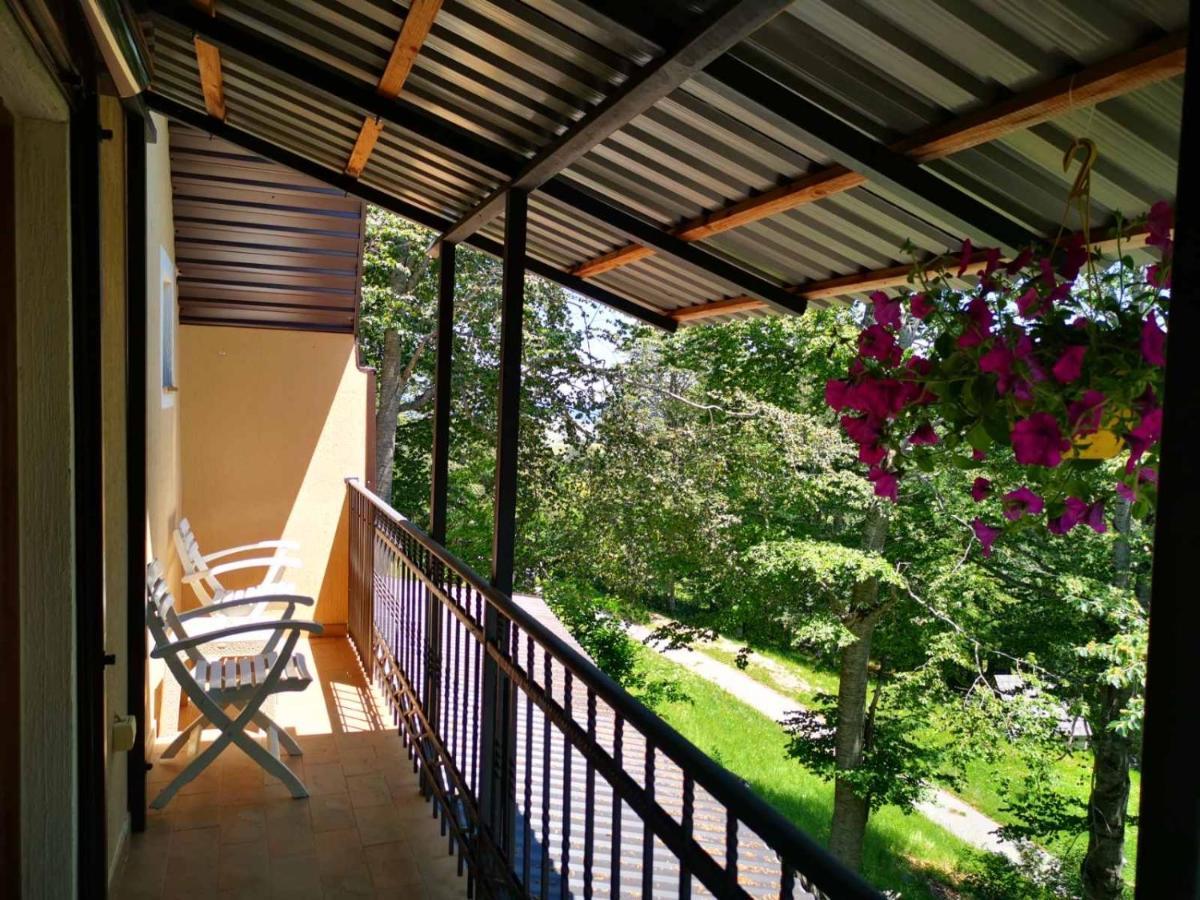 Gorska Vila Apartments Žabljak Eksteriør billede