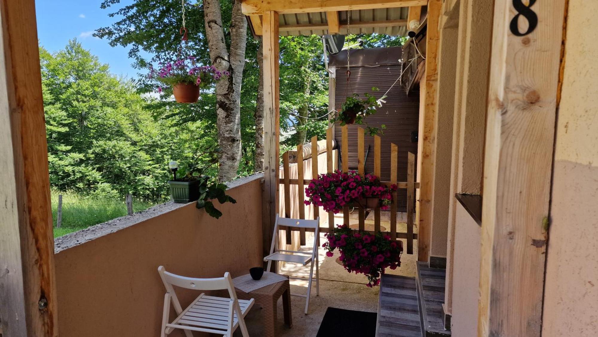 Gorska Vila Apartments Žabljak Eksteriør billede