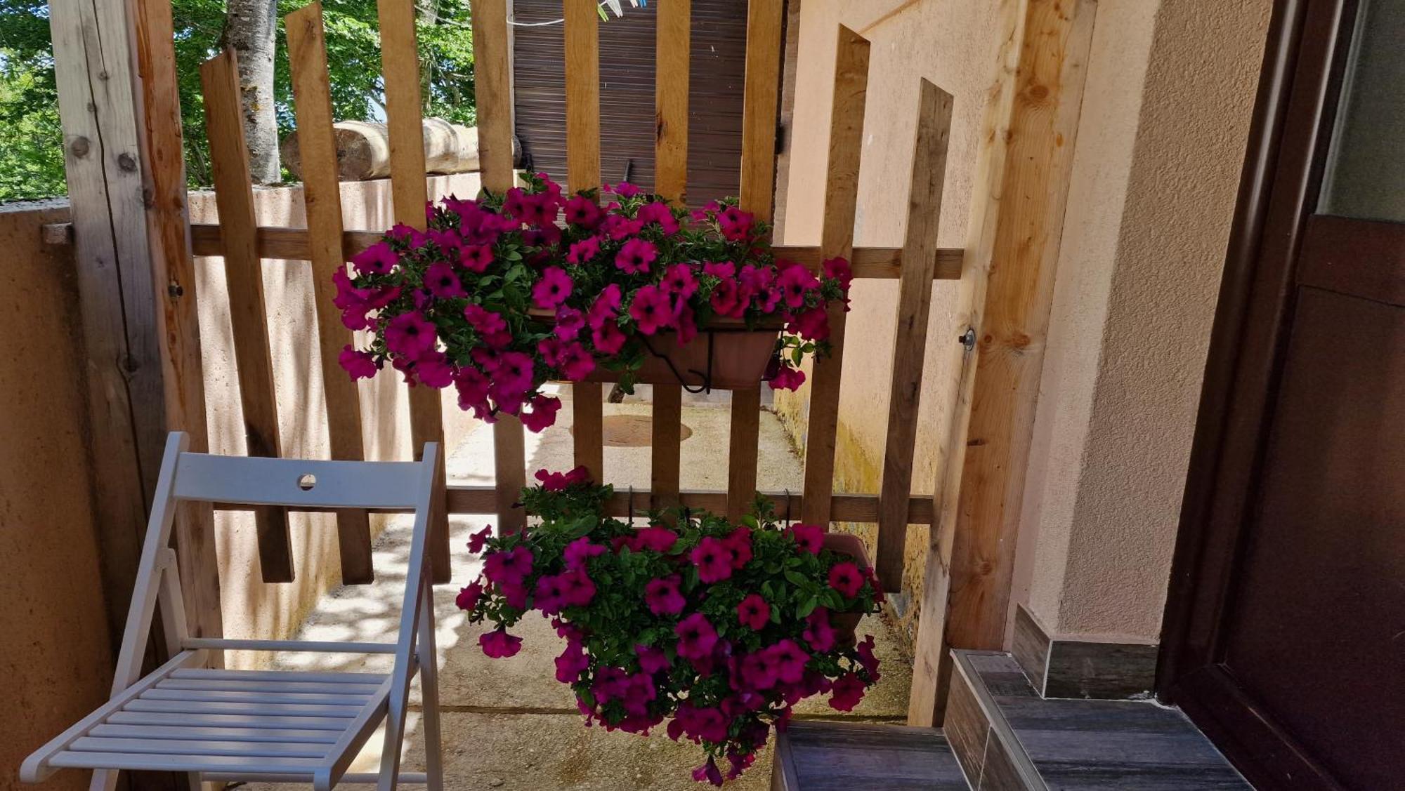 Gorska Vila Apartments Žabljak Værelse billede
