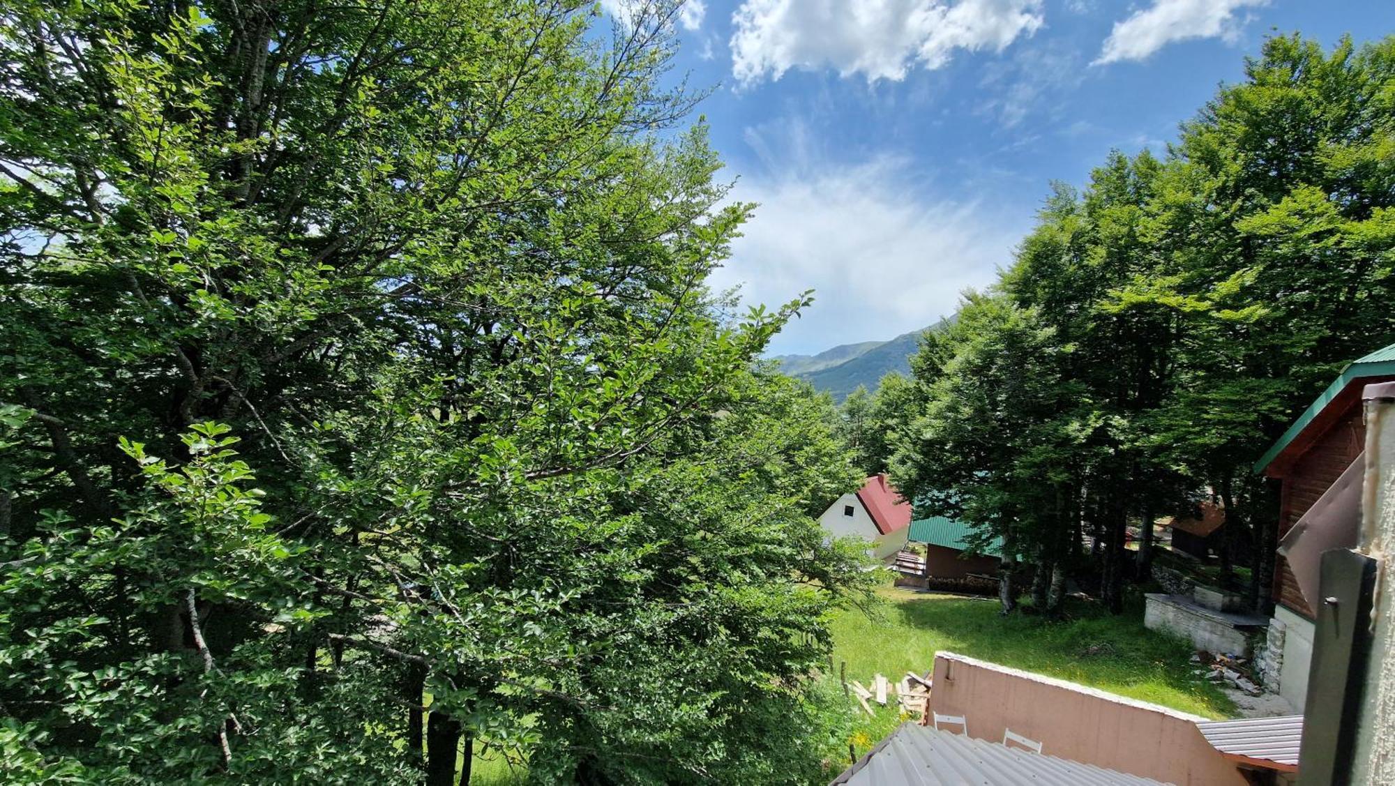 Gorska Vila Apartments Žabljak Værelse billede