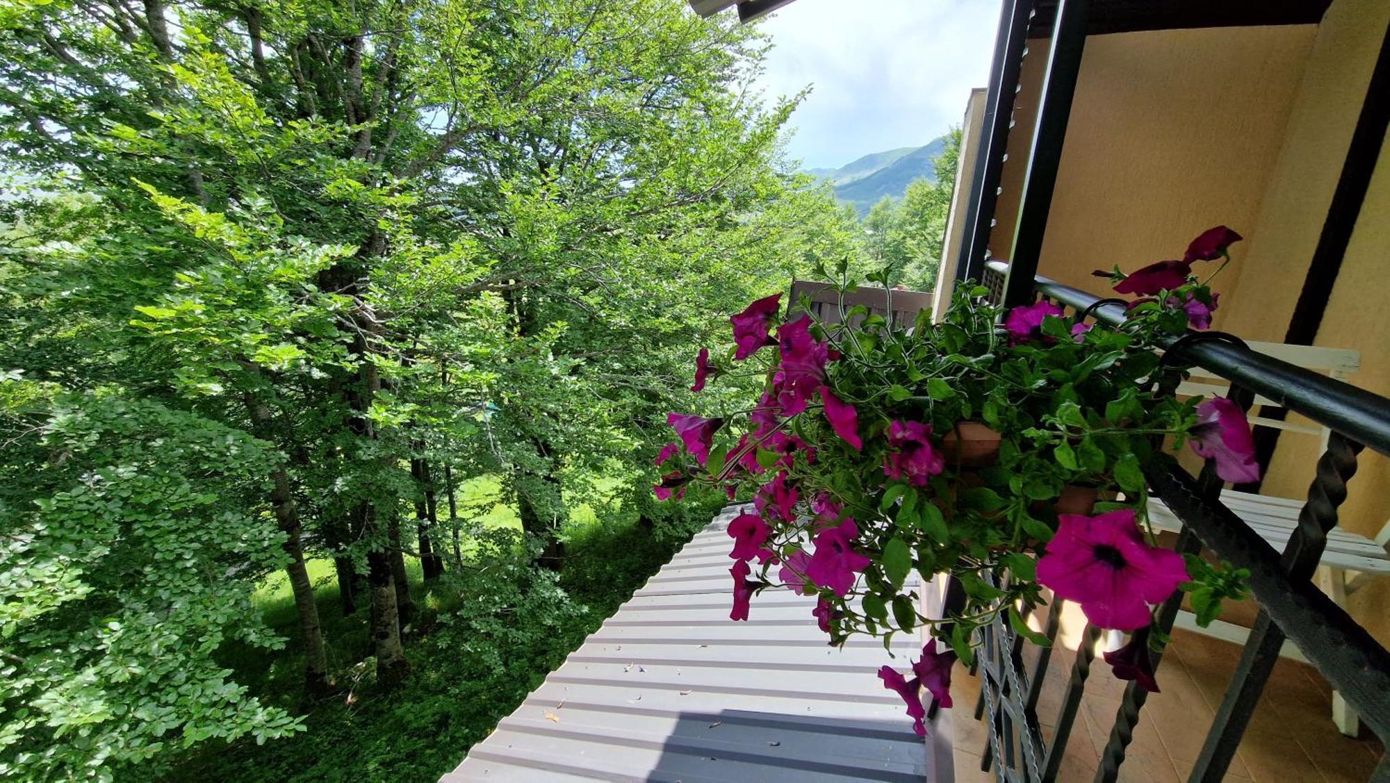 Gorska Vila Apartments Žabljak Værelse billede